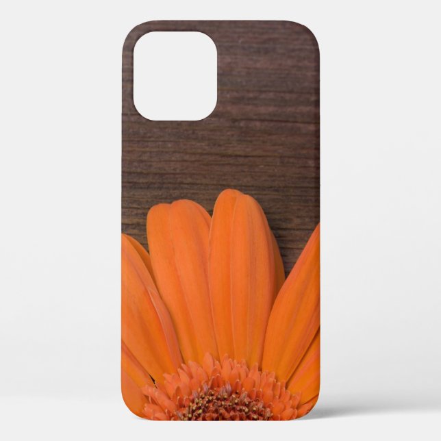 Rustikales Orange Daisy und Barnholz Case-Mate iPhone Hülle (Rückseite)