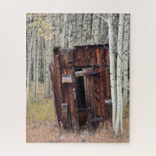 Rustikales Outhouse in Aspen St Elmo Colorado