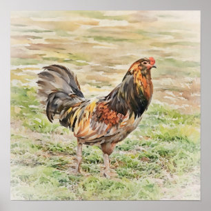 Rustikales Rooster Wasserfarben Kunst Squash Poster