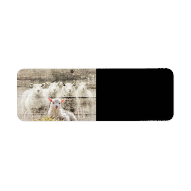 Rustikales Schafspuppel (Vorne)