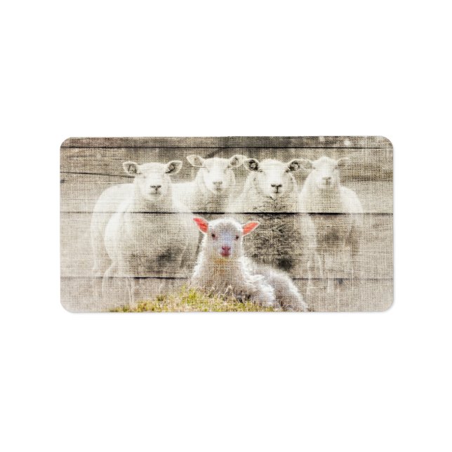 Rustikales Schafspuppel Adressaufkleber (Vorne)