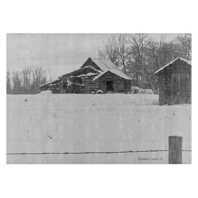 Rustikales Shacks-Foto-Kunst-Ausschnitt-Brett Schneidebrett (Vorderseite)