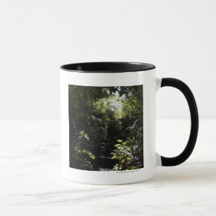Rustikales Treppenhaus/Fußweg im Wald, Sonnenlich Tasse