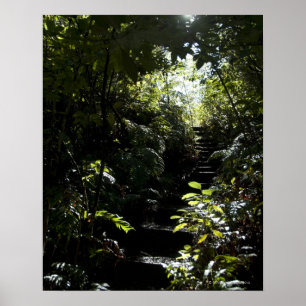 Rustikales Treppenhaus/Fußweg im Wald, Sonnenlicht Poster
