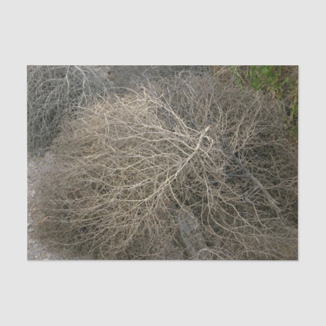 Rustikales Tumbleweed-Seidenpapier Seidenpapier (Vorderseite)