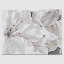 *~* Rustische Grunge Azalea Blume Weiße Neutrale Seidenpapier