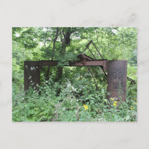 Rustout Brie in Line Creek #2 Postkarte