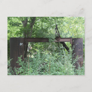 Rustout Brie in Line Creek Postkarte