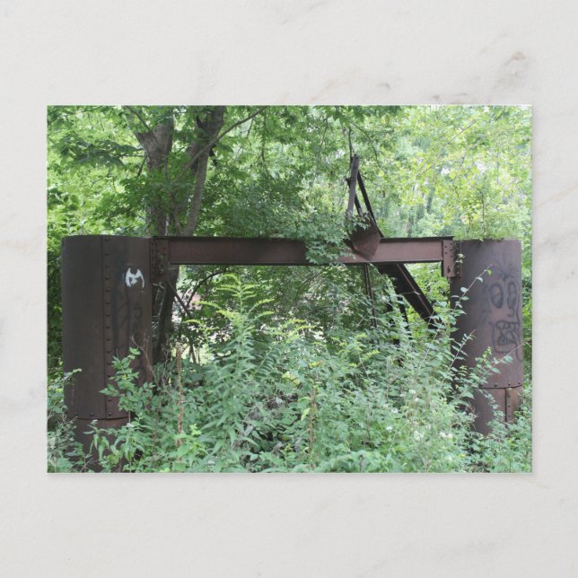 Rustout Brie in Line Creek Postkarte (Vorderseite)