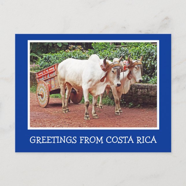 RÜSTUNGEN AUS COSTA RICA/OXCART UND OXEN POSTKARTE (Vorderseite)