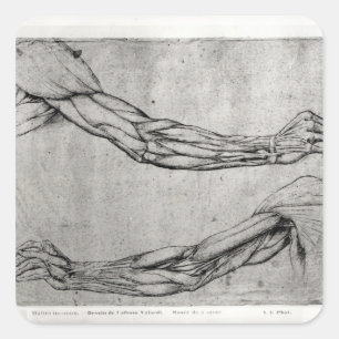 Rüstungsstudie Quadratischer Aufkleber