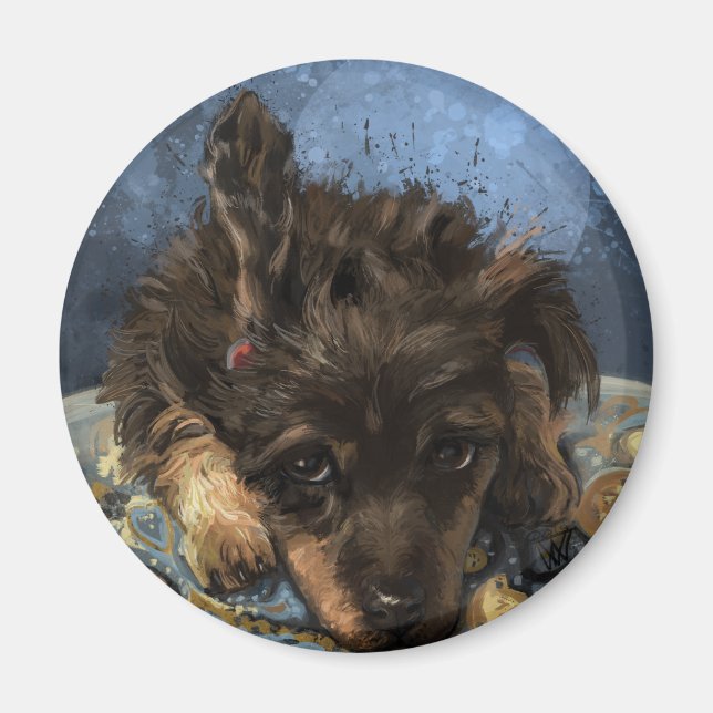 Rustus des Poodles Magnet (Vorne)