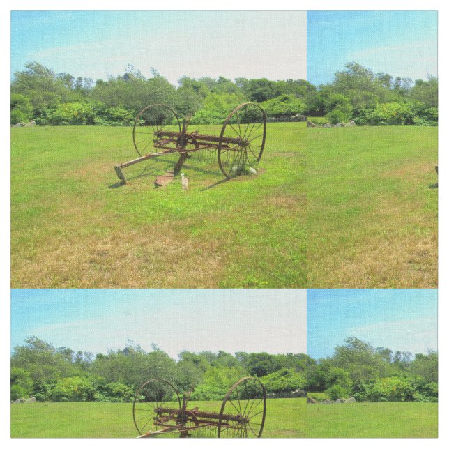 Rusty Old Farm Equipment Stoff (Nahaufnahme)