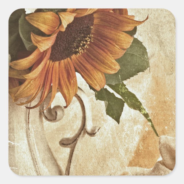 Rusty Orange Sunflowers Quadratischer Aufkleber (Vorderseite)