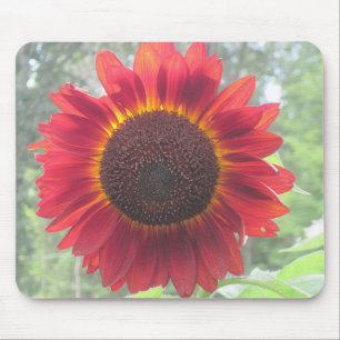 Rusty Red Sunflower Mousepad