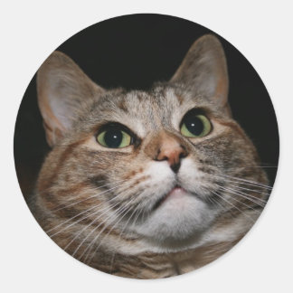 Rusty Runder Aufkleber