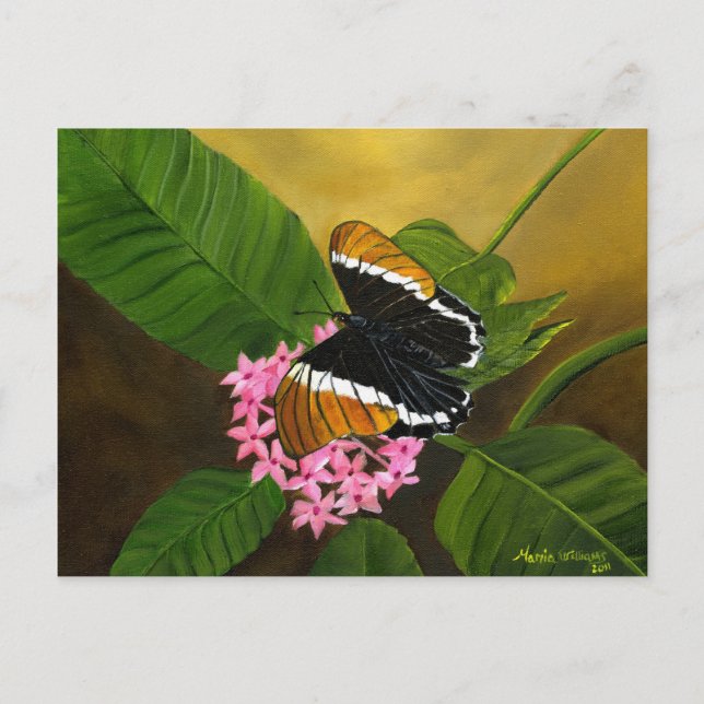 Rusty-tipped Butterfly Postcard von Maria Williams Postkarte (Vorderseite)
