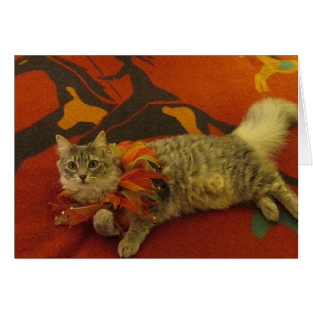 Ruthie le chat (Devant horizontal)