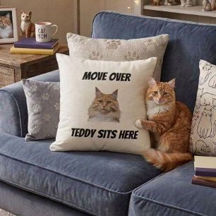 Rutsch Rüber Die Katze Sitzt Hier Lustige Benutzer Kissen