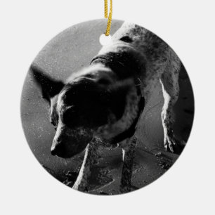 Rütteln Sie es! Keramik Ornament