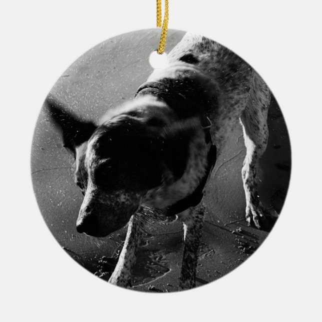 Rütteln Sie es! Keramik Ornament (Vorne)