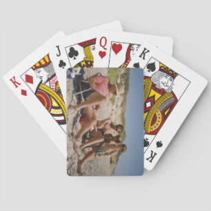 RWH Cribbage Karten auf Strand Spielkarten