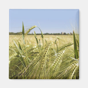 Rye Magnet