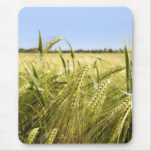 Rye Mousepad