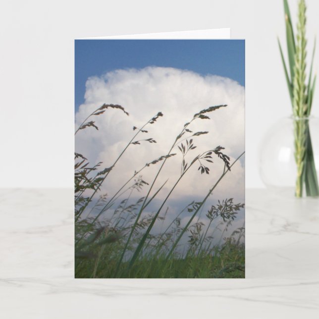 "Rye- und Himmel-" Foto-Karte Karte (Vorderseite)