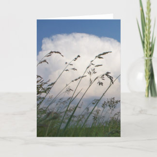 "Rye- und Himmel-" Foto-Karte Karte