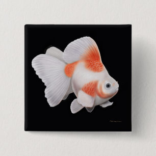 Ryukin Fantailgoldfish-Button Button