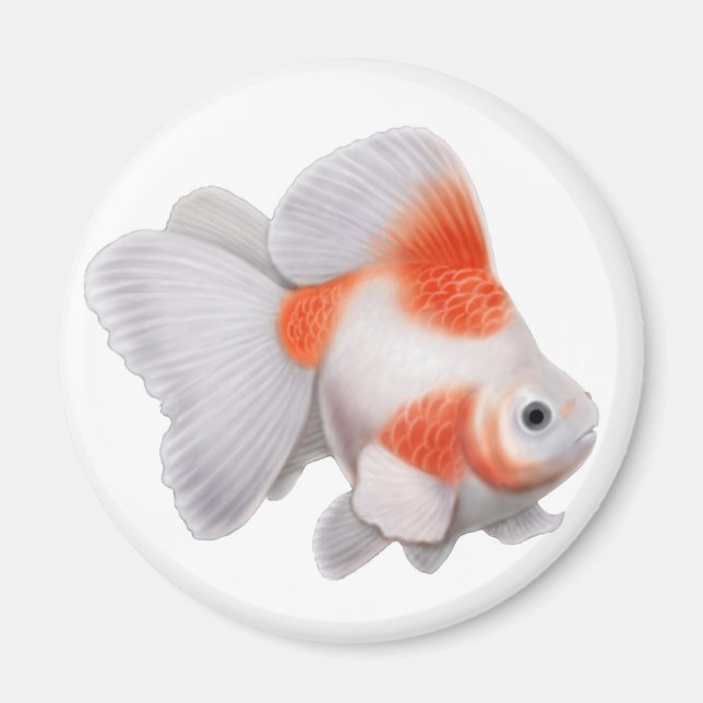Ryukin Goldfish Round Magnet (Vorne)