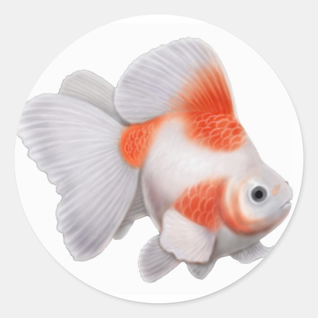 Ryukin Goldfish Sticker (Vorderseite)