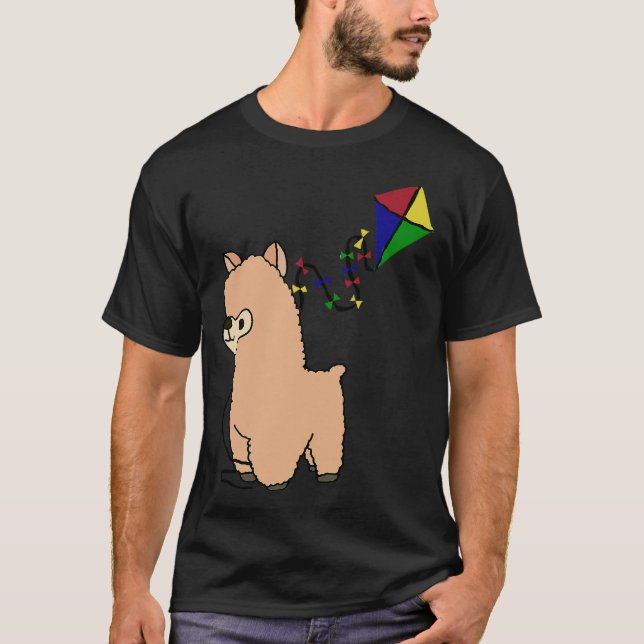 S2 Drachenflieger (67) T-Shirt (Vorderseite)