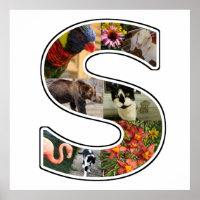 S Monogramm Erstellen Sie Ihre eigene 8 benutzerde