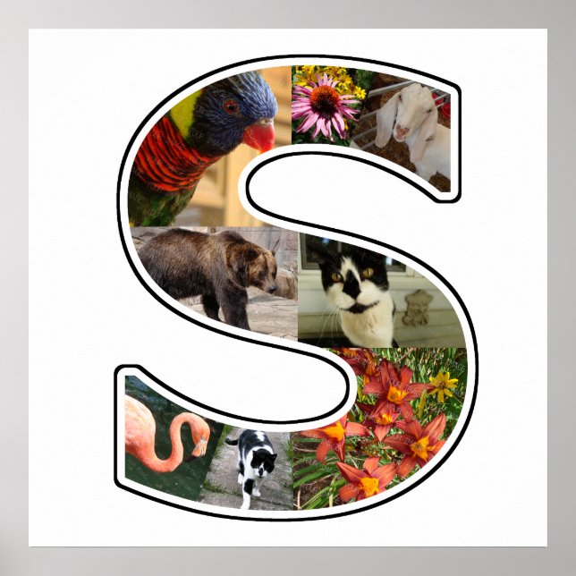 S Monogramm Erstellen Sie Ihre eigene 8 benutzerde Poster (Vorne)