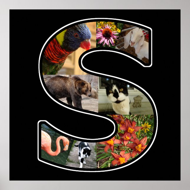 S Monogramm Erstellen Sie Ihre eigene 8-Collage Sc Poster (Vorne)