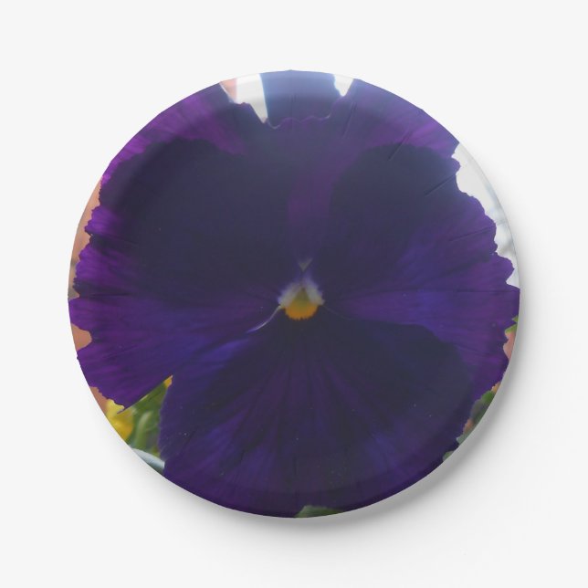 S PAPPTELLER (Vorderseite)