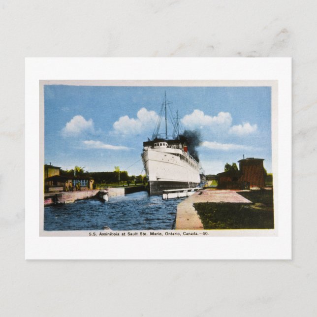 S.S. Assiniboia bei Sault Ste. Marie, Ontario, CA Postkarte (Vorderseite)