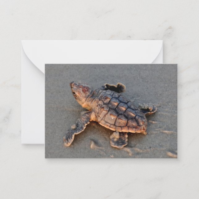 s Schildkrötenhüllen-Karte Mitteilungskarte (Vorderseite)