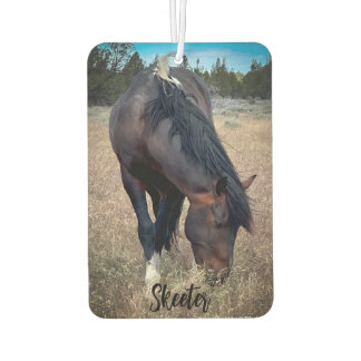 S Steens Stallions Air Freshener Autolufterfrischer