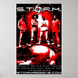 S.T.O.R.M. Poster