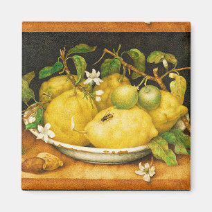 S TRÄGT ZITRONEN UND WEISSE BLUMEN FRÜCHTE MAGNET