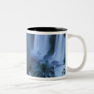 SA, Brasilien, Bundesstaat Paraná; Iguacu NP, Igua Zweifarbige Tasse