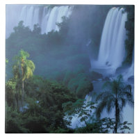 SA, Brasilien, Parana Staat; Iguacu NP, Iguacu