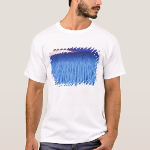 SA, Chile, Region Coquimbo, Nieve Penitente; T-Shirt