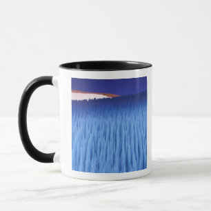 SA, Chile, Region Coquimbo, Nieve Penitente; Tasse