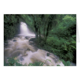 SA, Peru, S.H. Machu Picchu, Cascade und Cloud