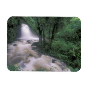 SA, Peru, S.H. Machu Picchu, Kaskade und Wolke Magnet