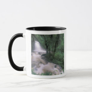 SA, Peru, S.H. Machu Picchu, Kaskade und Wolke Tasse
